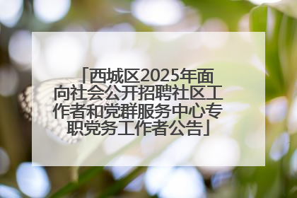 西城区2025年面向社会公开招聘社区工作者和党群服务中心专职党务工作者公告